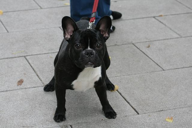 Coruna10 Campionato Galego de 10 Km. 1199